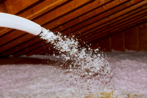 Best Insulation Replacement Services  in Chesterfield, SC