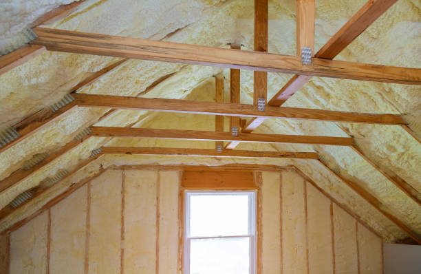 Best Insulation Inspection Services  in Chesterfield, SC