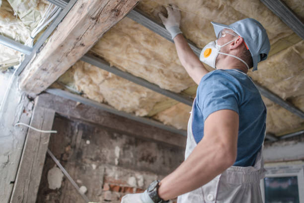 Best Insulation Contractor Near Me  in Chesterfield, SC