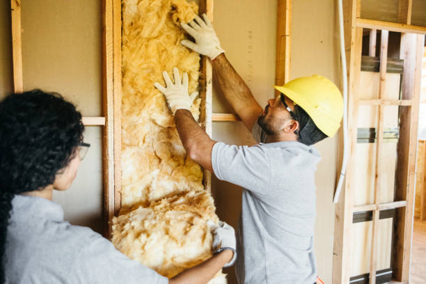 Best Commercial Insulation Contractor  in Chesterfield, SC