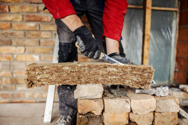 Best Professional Insulation Contractor  in Chesterfield, SC